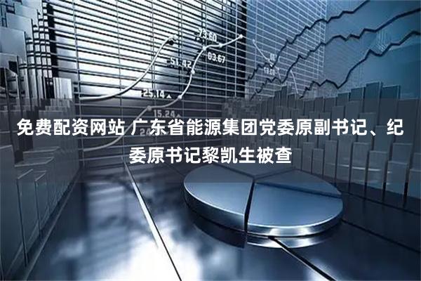 免费配资网站 广东省能源集团党委原副书记、纪委原书记黎凯生被查